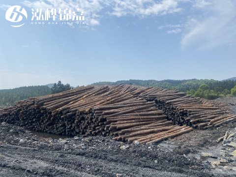 河道打樁為什么選擇松木樁來處理軟地基？-松木樁施工使用范圍