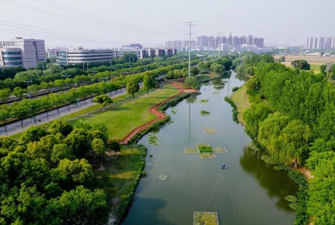 花橋泗涇河徐公河梅浦河擋墻及河道調整工程-圓木樁施工方案