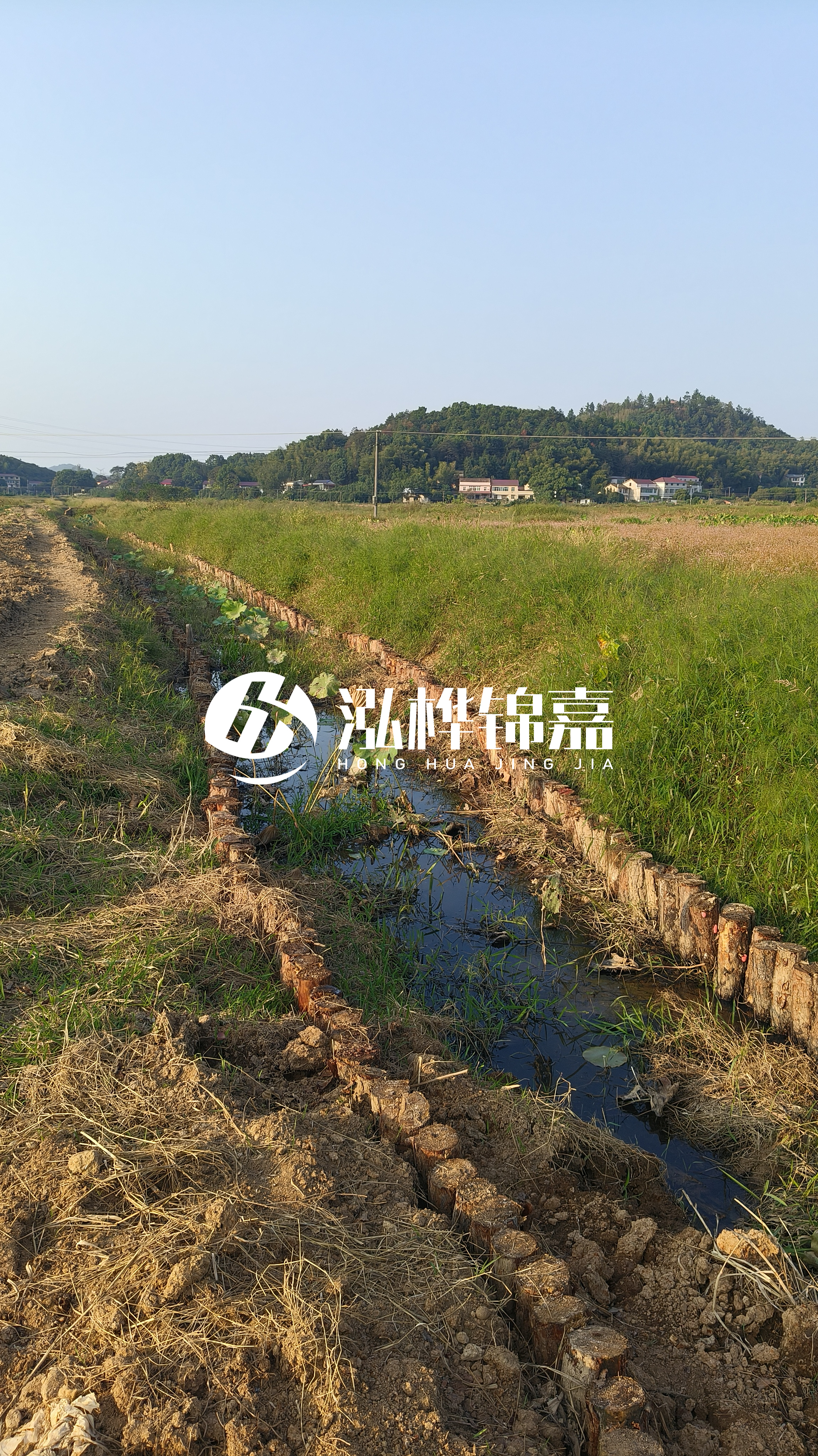 河道護坡打木樁的目的全解析：你知道幾個？