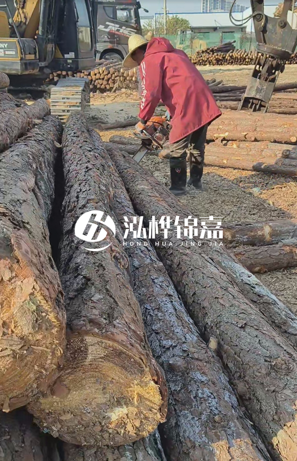 長沙打樁木批發(fā)廠家在哪里？聯(lián)系方式是什么？