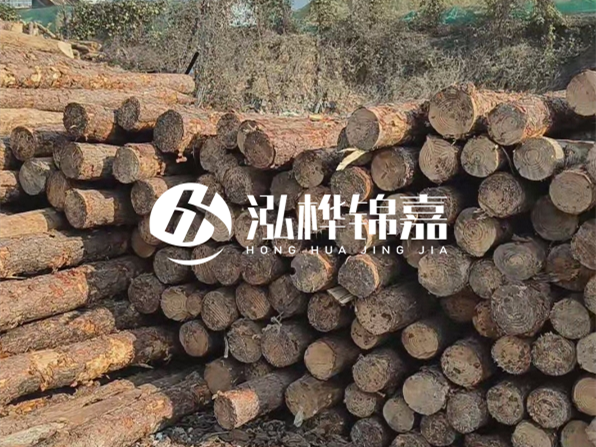 落葉松木材的主要產地在哪里？為什么比其他松木更耐腐蝕？