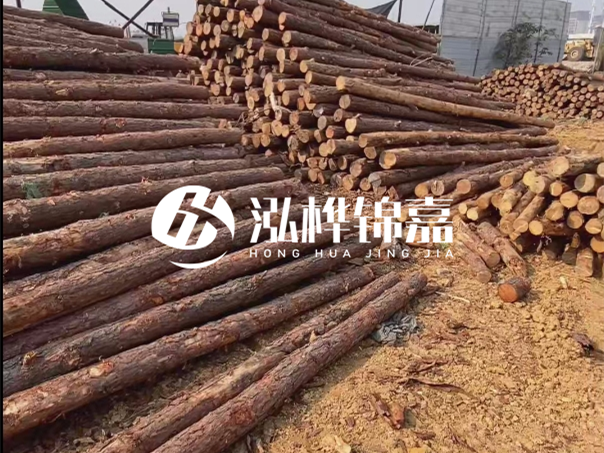 河道木樁施工遇到淤泥怎么辦？打多深才能防沖刷？