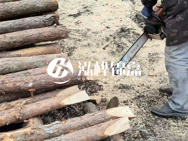 杉木樁批發(fā)廠家哪家好？產地直供渠道推薦！