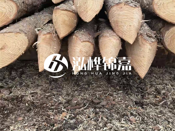 打樁木樁與鋼樁相比有哪些優(yōu)缺點(diǎn)？如何進(jìn)行后期維護(hù)？