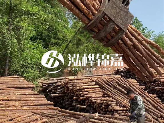 哪里能買到優(yōu)質 3 米松木樁？長沙有松木樁批發(fā)工廠嗎？
